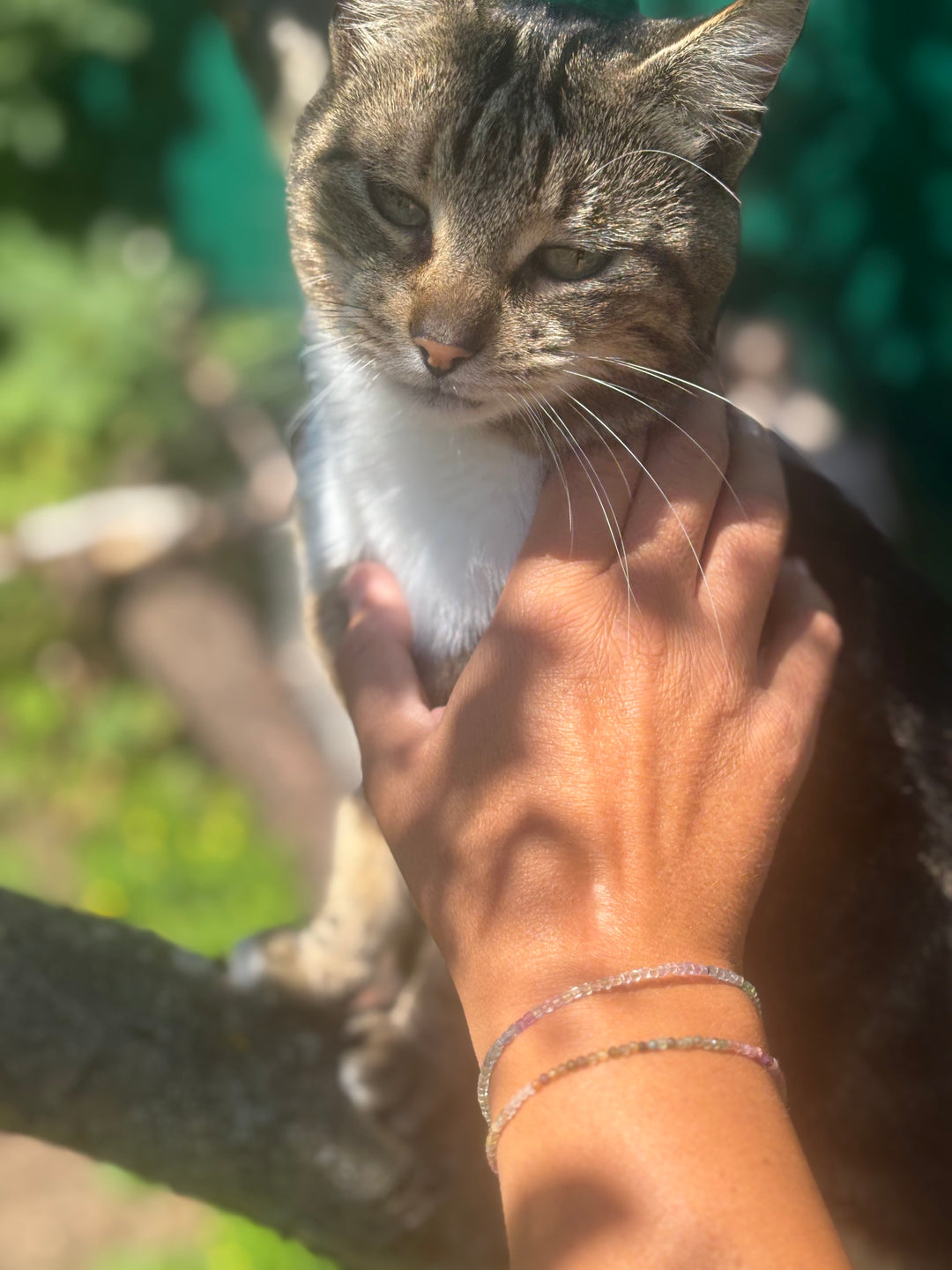 Seelenklar – 2er-Set Fluorit-Armbänder für Fokus & Harmonie