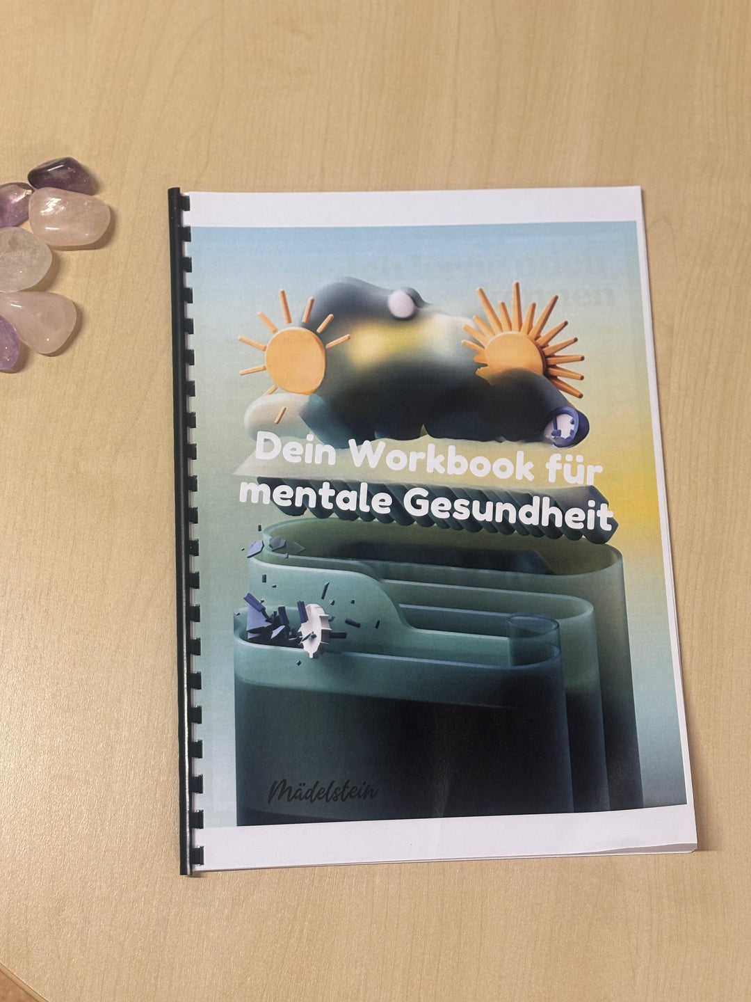 Mentale Gesundheit Workbook PDF